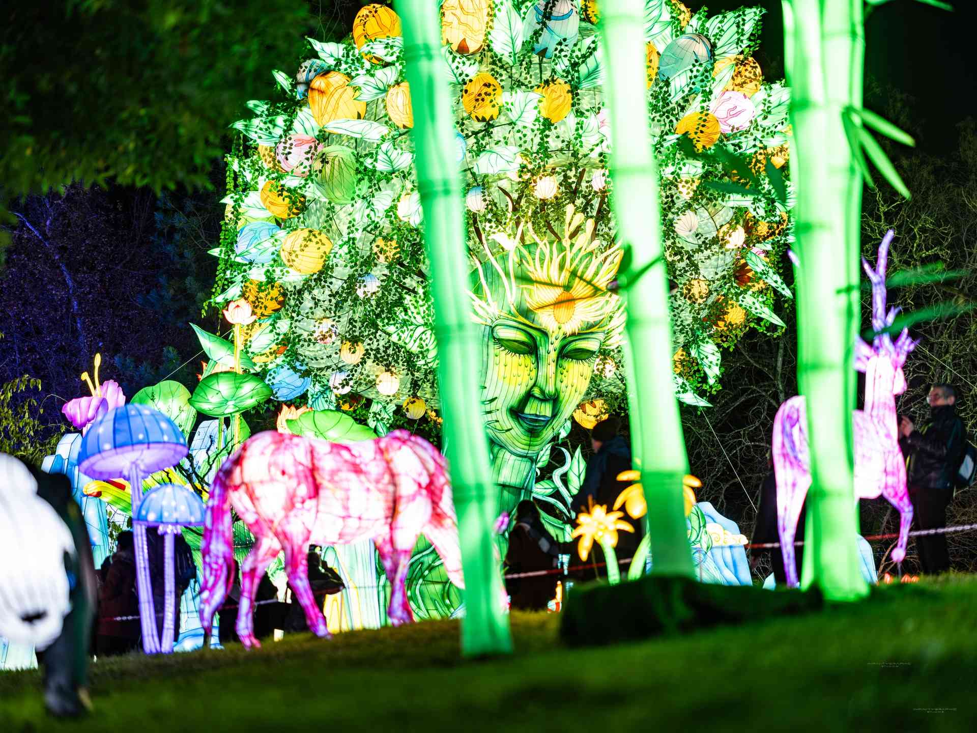 Festival des Lanternes Montauban #2