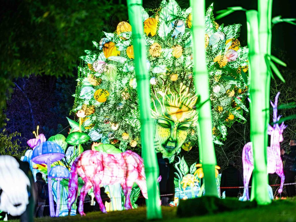 festival des lanternes montauban 2023 - 2024